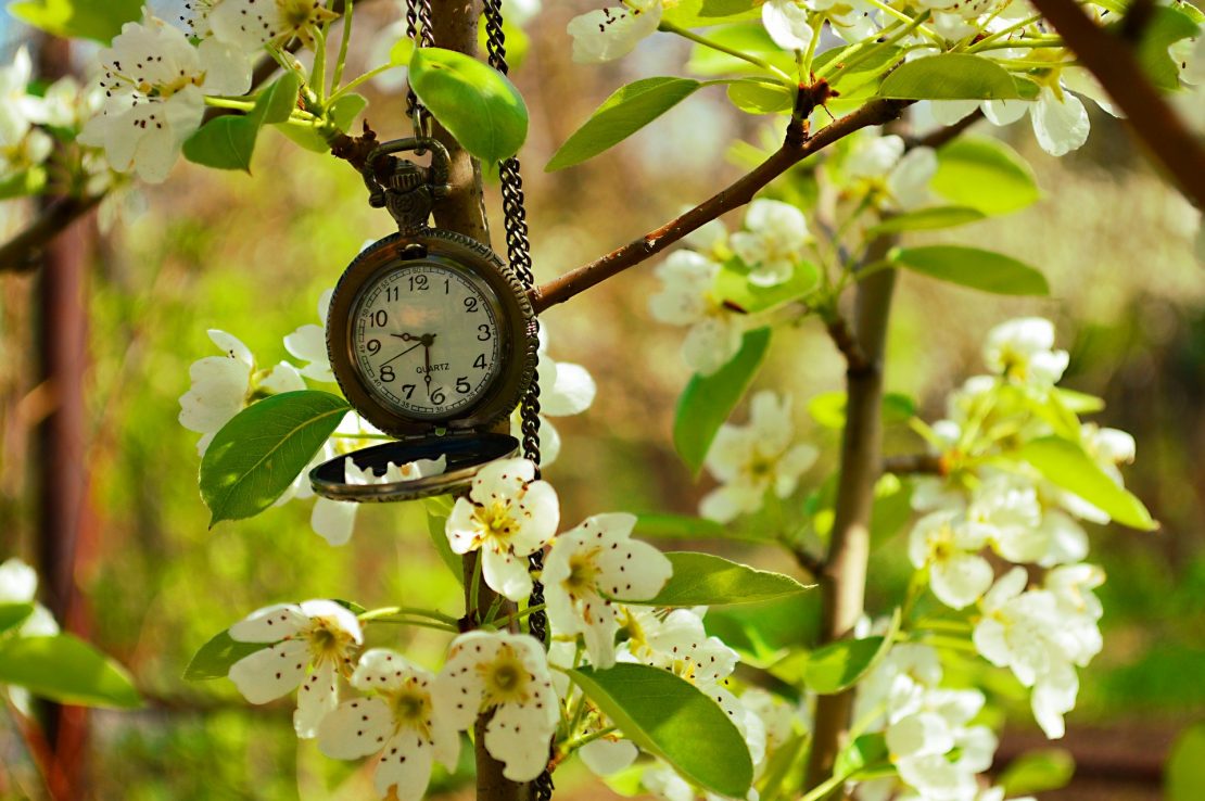 When Do The Clocks Change In New York at Cheryl Vick blog