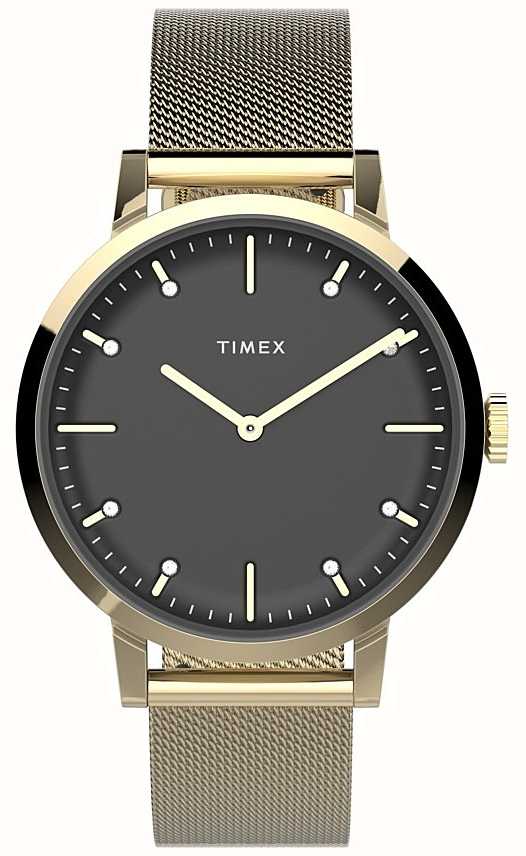 timex watch stainless steel